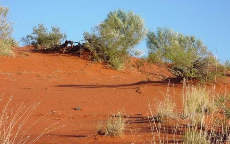 Raising awareness and access in the Gascoyne